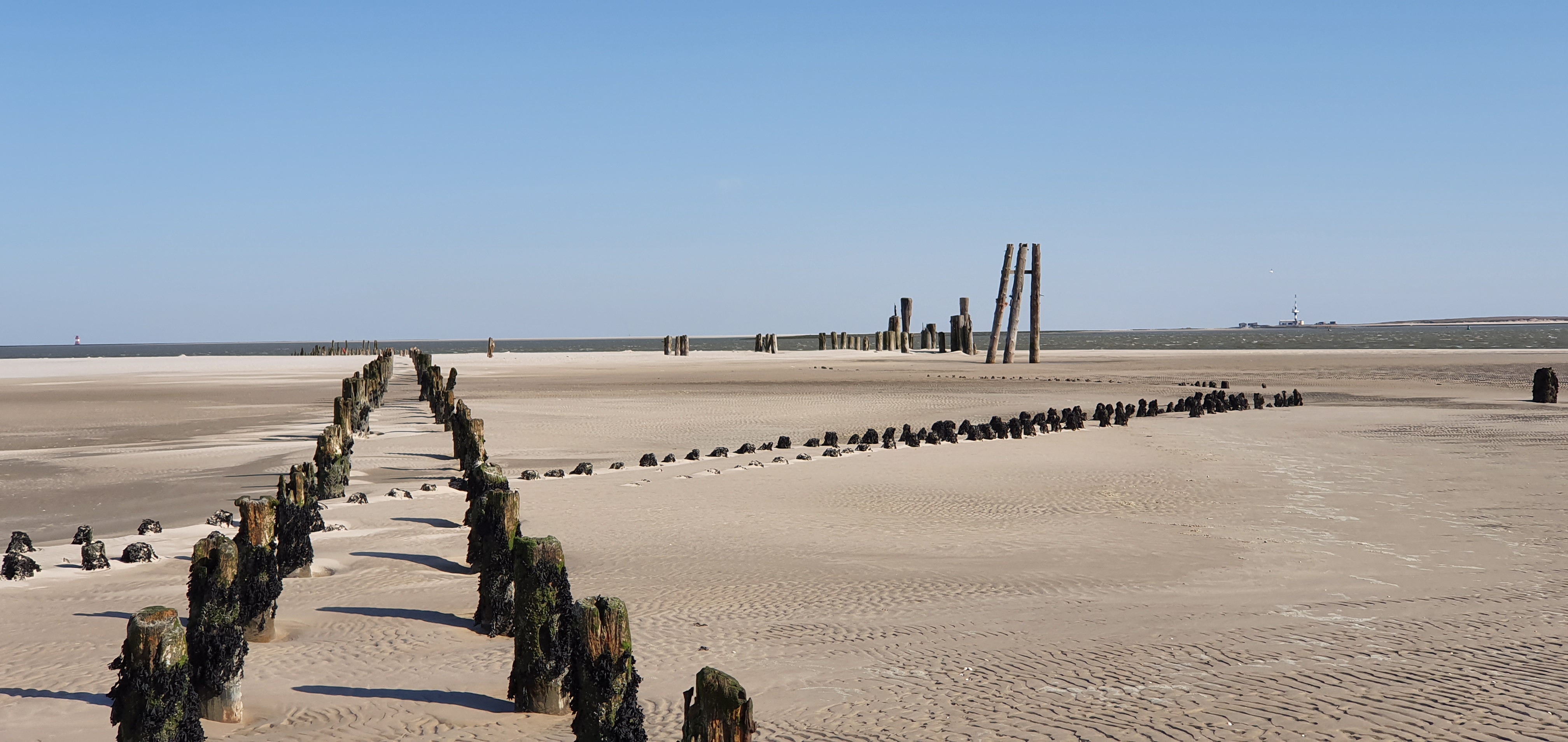 Sven-H. Mhr, Wangerooge