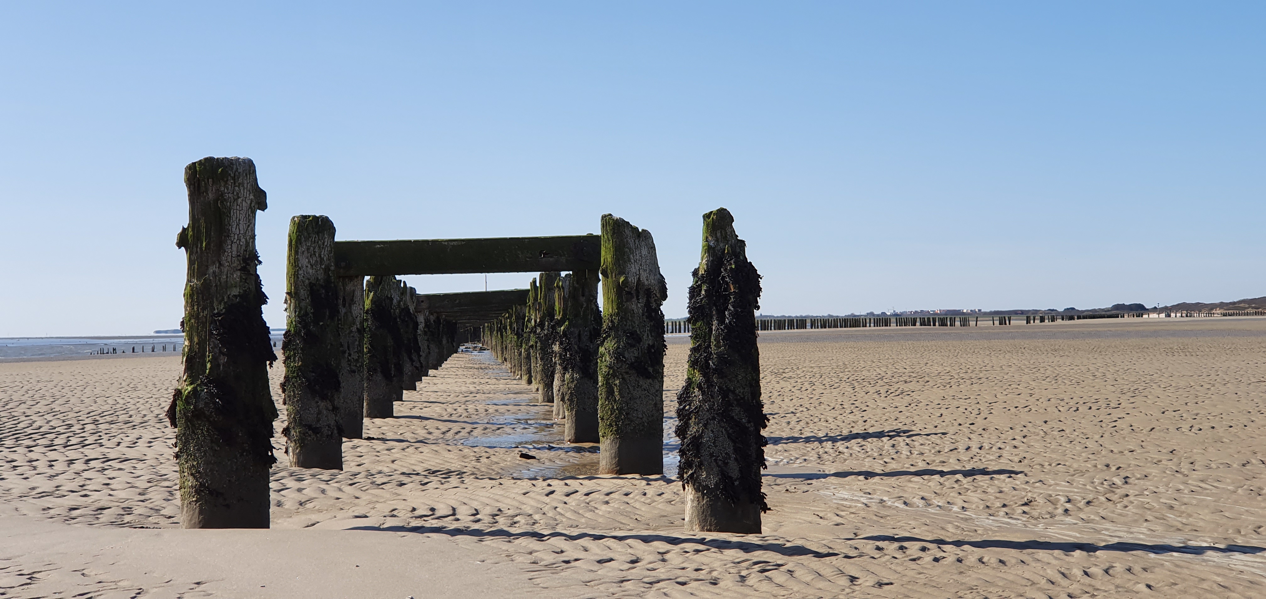 Sven-H. Mhr, Wangerooge