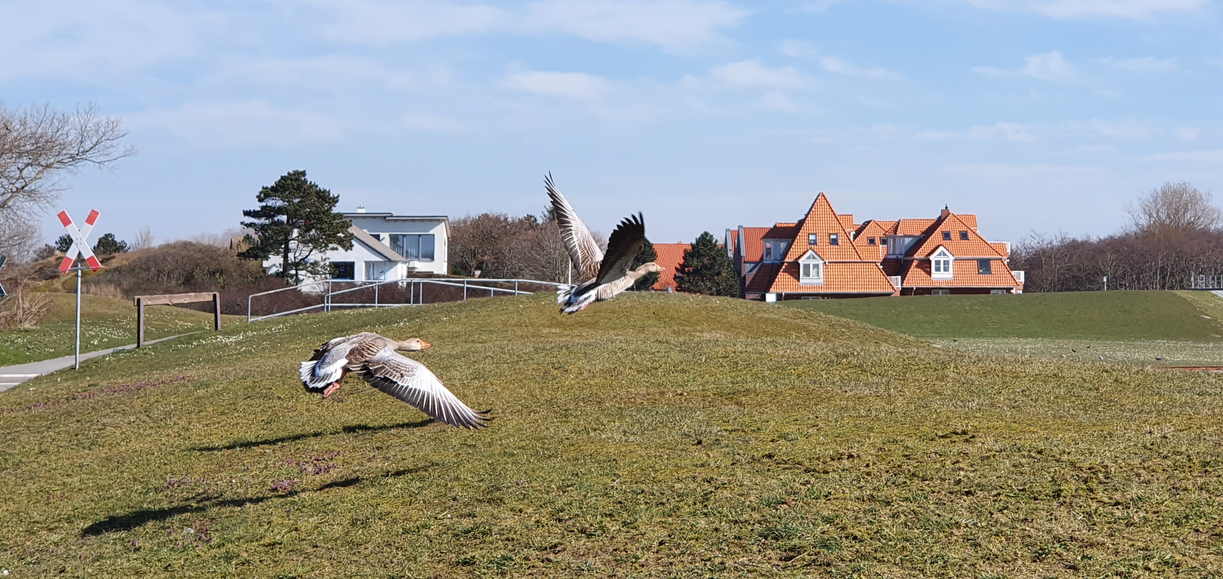 Sven-H. Mhr, Wangerooge