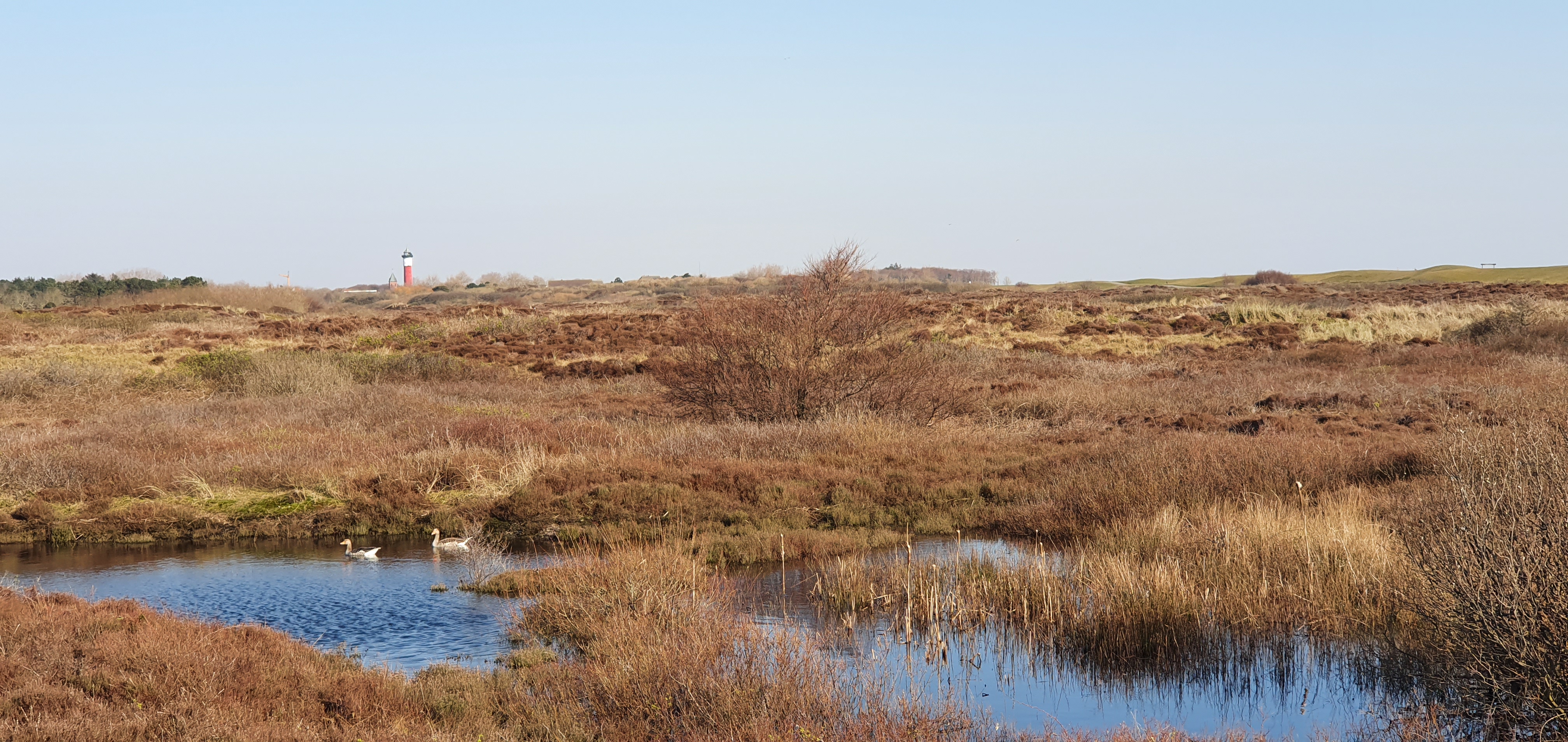 Sven-H. Mhr, Wangerooge